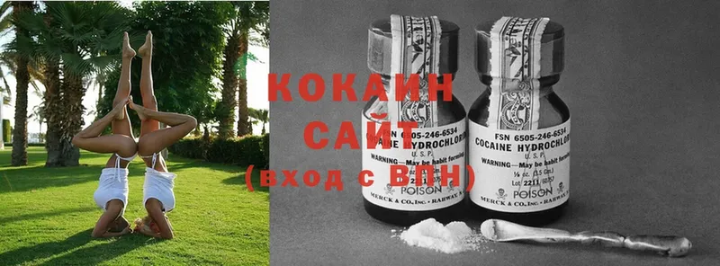 Cocaine Эквадор  ОМГ ОМГ сайт  Унеча 